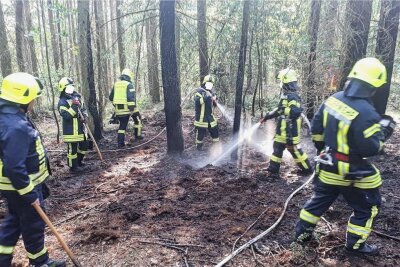 Waldbrand in Drebach löst Großeinsatz der Feuerwehr aus - Auf rund 100 Quadratmetern haben die Kameraden gelöscht.