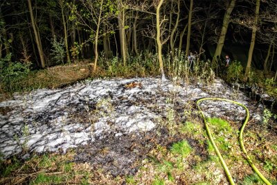 Waldbrand in Grünhain-Beierfeld: Fahrlässige Brandstiftung? - Die Einsatzkräfte löschten erst mit Wasser, später mit Schaum.