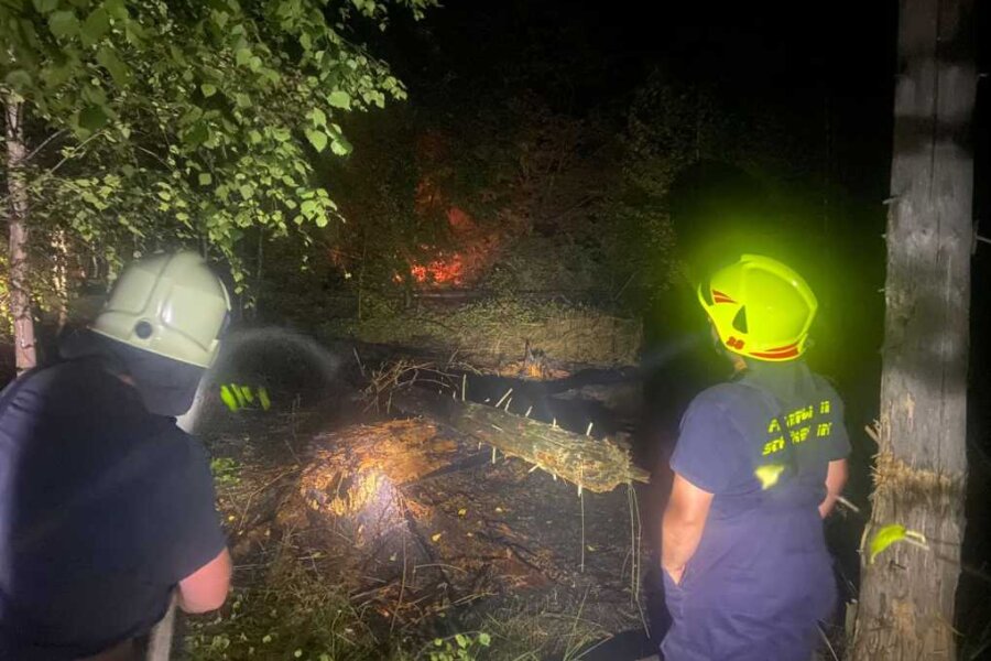 Einsatz in der Sächsischen Schweiz: Feuerwehrleute aus dem Erzgebirge im Kampf gegen den Waldbrand.
