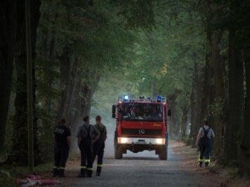 Waldbrand in Werdau - Ermittlungen wegen fahrlässiger Brandstiftung - Ein Feuerwehrauto in der Nähe des Waldbrandes.