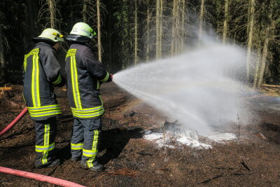Waldbrand lässt Feuerwehr ausrücken - 