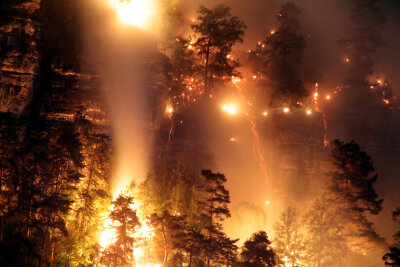 Waldbrand nahe Bastei: Polizei ermittelt wegen Brandstiftung - 