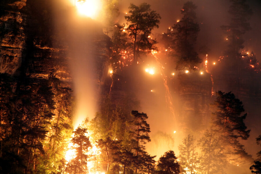 Waldbrand nahe Bastei: Polizei ermittelt wegen Brandstiftung