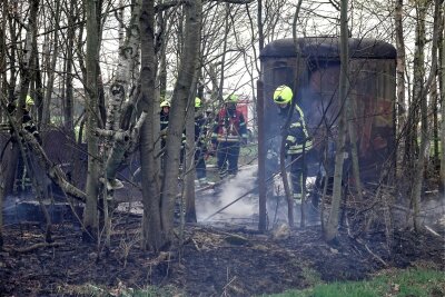 Waldbrandgefahr in Chemnitz steigt: Erster Feuerwehreinsatz - Chemnitzer Feuerwehrleute löschten am Dienstag ein Feuer in einem Waldstück bei Euba.
