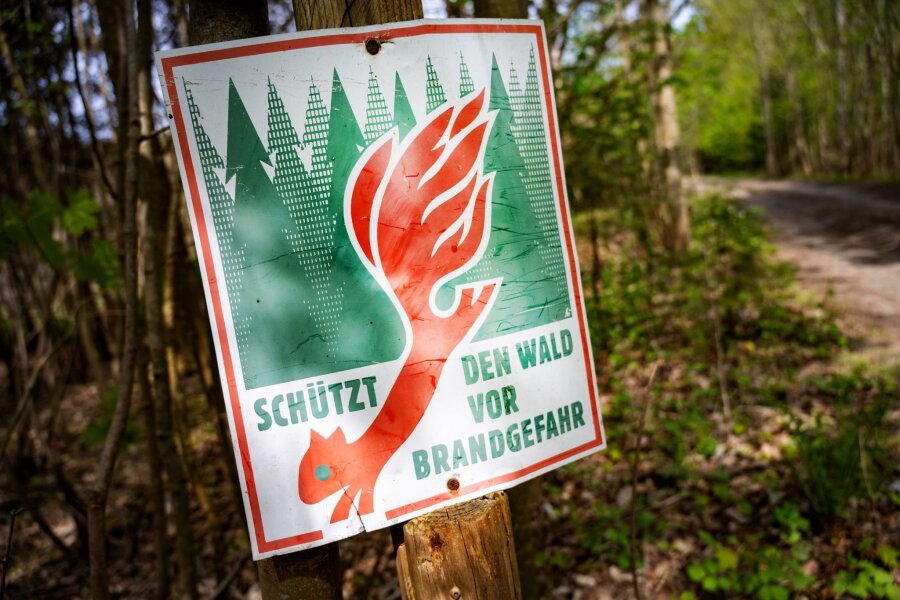 Waldbrandgefahr steigt in Sachsen - Ein Schild mit der Aufschrift "Schütz den Wald vor Brandgefahr" hängt in einem Wald an einem Waldweg.