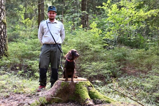 Holger Kind ist Förster auf Zeit im Hartmannsdorfer Forst, der der Deutschen Bundesstiftung Umwelt übertragen wurde. Im Wald begleitet ihn Lilli, ein Deutscher Wachtelhund. 
