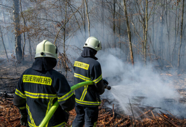 In einem Waldstück zwischen Altgeringswalde und Langenau ist am Montagvormittag ein Brand ausgebrochen.