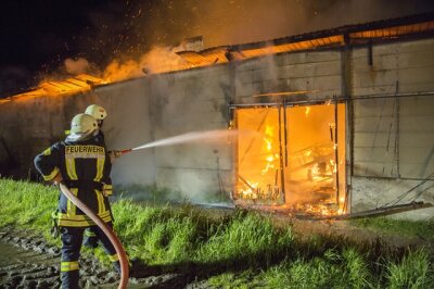 Walthersdorf: Erneut Feuer in Agrarbetrieb - 