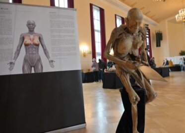 Wanderausstellung "Echte Körper - Von den Toten lernen" im erzgebirgischen Oelsnitz - In der Stadthalle in Oelsnitz ist die Wanderausstellung "Echte Körper - Von den Toten lernen" zu sehen.