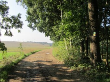 Wanderserie: Ein Teich, zwei Wälder und weite Felder - Nahe der Autobahnunterführung in Röhrsdorf man den Punkt, von dem aus der gelb markierte Wanderweg West-Ost und der grün gekennzeichnete Weg rund um Chemnitz gemeinsam verlaufen. 