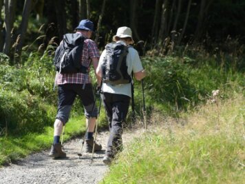 Wanderwege-Netz im Westharz wurde verkleinert und optimiert -             Zwei Wanderer gehen in der Nähe von Altenau im Oberharz über einen schmalen Wanderweg.