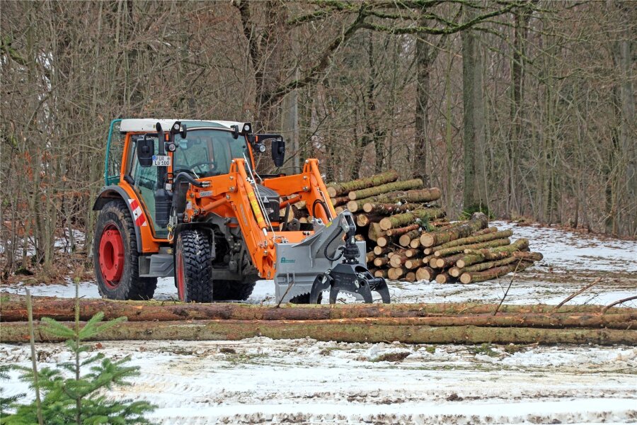 Wann beginnt die Sanierung der Talsperre Lichtenberg? - Rund um die Talsperre Lichtenberg laufen aktuell Baumfällarbeiten.