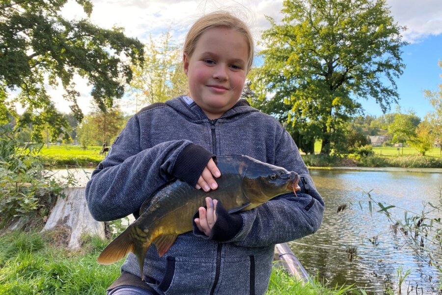 Ein bisschen schleimig sei der Spiegelkarpfen schon, sagt die neunjährige Emma Vogel. Sie gehört zu den Jungfischern der Zschopausportfischer Ringethal, die das Tier am Freitag geangelt haben. 