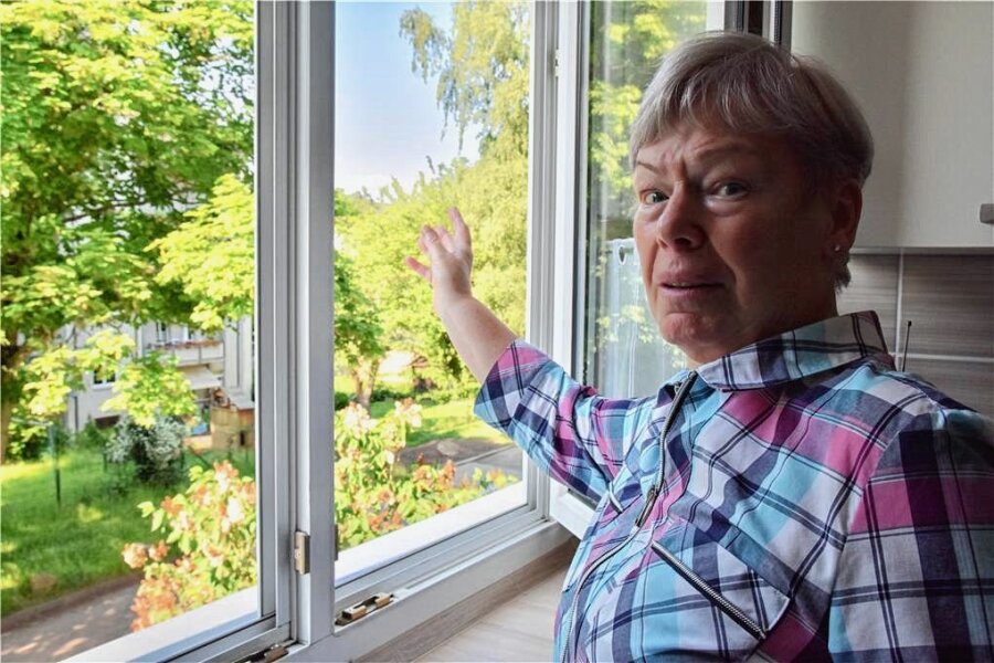 Warum der Gießereibrand bei einer Chemnitzerin ein Déjà-vu auslöste - Margita Oehme schaut aus ihrem Küchenfenster. Dort hatte sie am 2. Juni eine große Rauchwolke gesehen, die Erinnerungen weckte.
