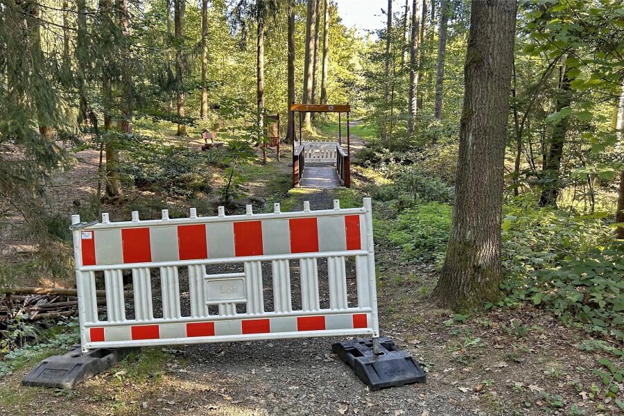 Warum die Fußgängerbrücke im Plauener Stadtwald gesperrt ist - Diese Brücke im Stadtwald ist seit August gesperrt und wird es auch noch eine ganze Zeit bleiben.