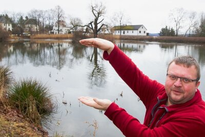 Warum die Neundorfer für ihre alte Weide am Teich kämpfen - Gelingt die von Neundorfs Ortschaftsratschef Uwe Trillitzsch initiierte Rettung der Teichweide? Die Baumpflegearbeiten können voraussichtlich schon im nächsten Monat starten. 