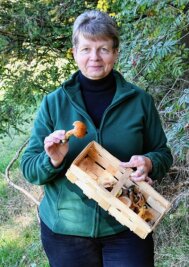 Warum die Pilzberaterin derzeit kaum noch in den Wald kommt - Pilzberaterin Angela Burkhardt auf Pilzsuche im Wald zwischen Elterlein und Schlettau, nahe der Finkenburg. 