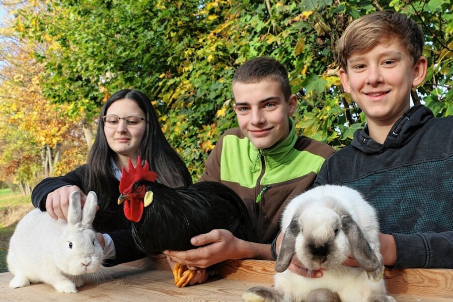 Warum drei junge Weischlitzer Langohren und Hühner züchten - Carolin Tschiersch, Nick Klebert und Marius Jarzina (von links) zeigen ihre rassigen Tiere, um die sie sich kümmern und die sie selbst züchten. 