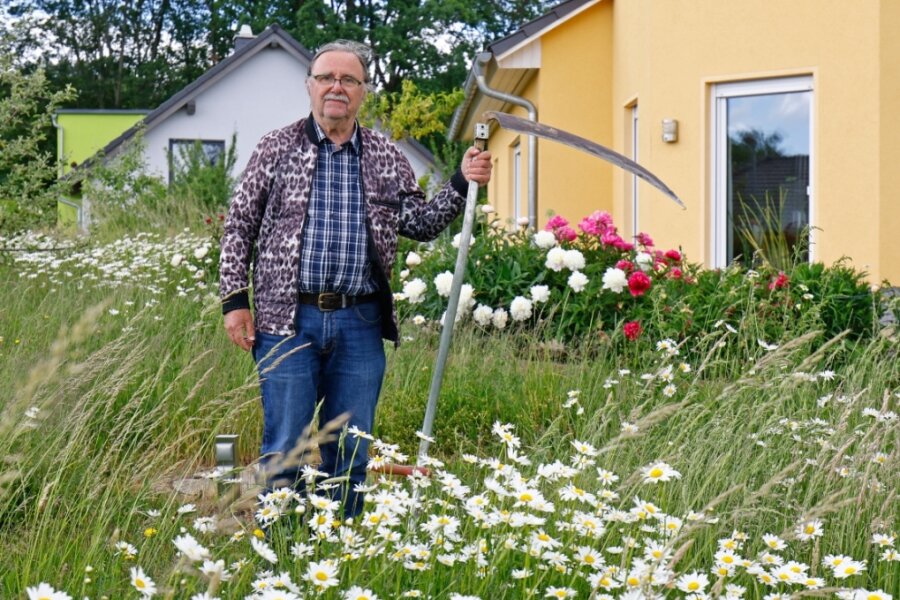 Der Internist in Ruhestand Klaus Stiegler ist 80 Jahre alt und setzt in seinem Hohenstein-Ernstthaler Garten regelmäßig die Sense an - aus Überzeugung.