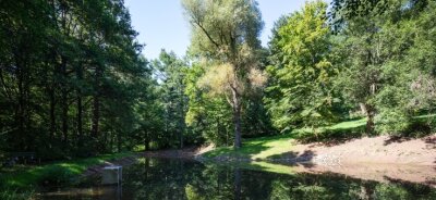 Warum ein Parkidyll weiter aufgewertet wird - Der Teich im Hermann-Ende-Park in Hohenstein-Ernstthal wurde in den vergangenen Monaten saniert. 