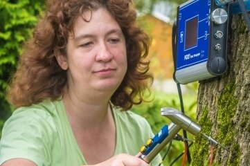 Warum eine Baumdoktorin Menschenleben retten kann - Christiane Müller untersucht bei ihren Einsätzen den Zustand der Bäume mit einem Schalltomographen. 