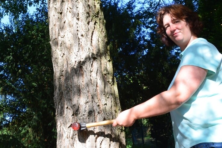 Warum eine Frau Bäume per Hammer abklopft - Expertin Christiane Müller aus Pockau hat schon 2018 die Oederaner Bäume auf öffentlichem Grund kontrolliert. 