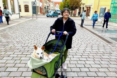 Warum eine Freibergerin ihren Hund im Buggy durch die Stadt fährt - Roswitha Weist fährt ihren blinden Hund Marlo durch die Stadt Freiberg spazieren.