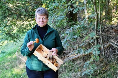 Warum eine Pilzberaterin im Erzgebirge derzeit kaum noch in den Wald kommt - Pilzberaterin Angela Burkhardt auf Pilzsuche im Wald zwischen Elterlein und Schlettau, nahe der Finkenburg.