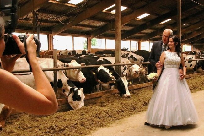 Für Jana Seidel und Lutz Höhne ging es für die Hochzeitsfotos in den Kuhstall. 
