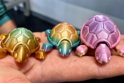 Warum in Mittweida solche bunten Schildkröten aus dem 3D-Drucker kommen - Solche bunt schimmernden Schildkröten werden an der Hochschule Mittweida mit dem 3D-Drucker hergestellt. Die Idee dazu hatte ein wissenschaftlicher Mitarbeiter. Er verfolgt damit ein ganz bestimmtes Ziel.