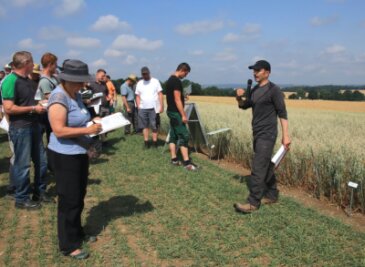 Warum Landwirte im Vogtland mehr Hafer anbauen sollen - Martin Sacher (rechts) erklärt Teilnehmern des Feldtages die Versuchsparzellen der Hafersorten.