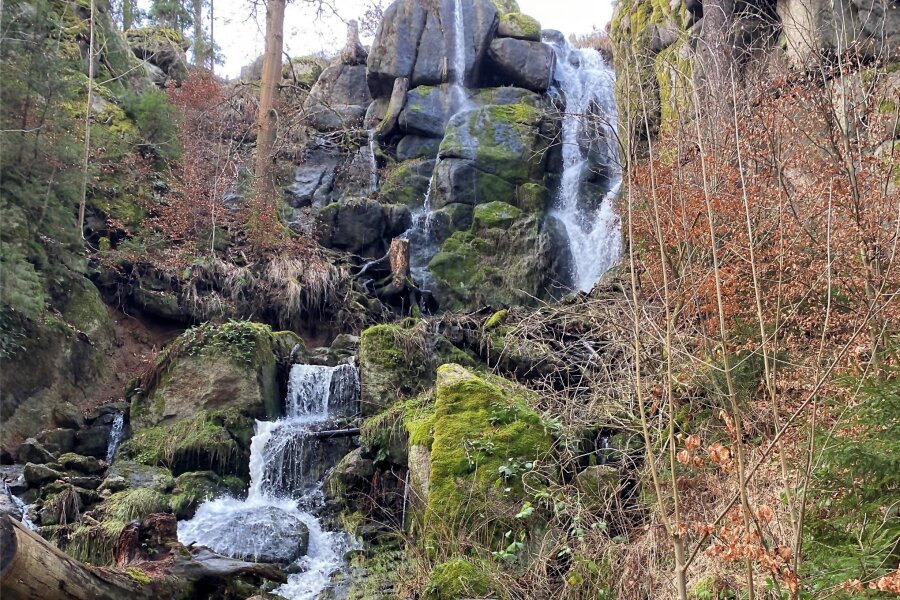 Warum Sachsens größter Wasserfall in Blauenthal kräftig sprudelt - Der Blauenthaler Wasserfall führt im Moment mehr Wasser als normal.
