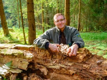 Warum unaufgeräumt für den Wald richtig ist - Alexander Clauß, Revierförster von Schönheide. 