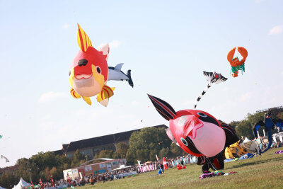 Festival der Riesendrachen, mit fliegenden Drachen, Salamandern, Fröschen, Fischen Schweinen und Aliens auf dem Tempelhofer Feld in Berlin.