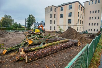 Warum wurden für den neuen Spielplatz in Thalheim Bäume gefällt? - Die Holzstämme liegen noch auf dem Gelände neben dem ehemaligen Berufsbildungszentrum. Die Planer wollten die Bäume eigentlich in den neuen Spielplatz integrieren. 