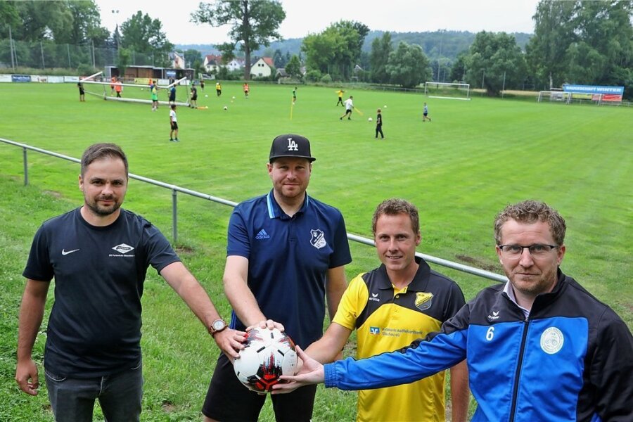 Was Besucher des Fußball-Benefizturniers in Glauchau wissen müssen - Vier Vereine aus Glauchau organisieren das Benefizturnier. Foto: Andreas Kretschel/Archiv