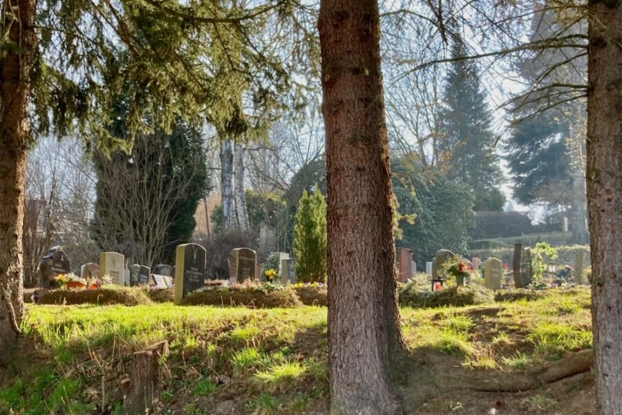 Was der neue Friedhofsverwalter plant - Der Friedhof Lößnitz ist nicht nur letzte Ruhestätte, sondern auch Biotop und historisches Kleinod. 