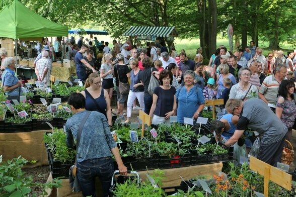 Was diesmal beim Waldenburger Töpfermarkt anders läuft - Tausende Besucher strömten zum Kräuter- und Pflanzenmarkt im Grünfelder Park. 