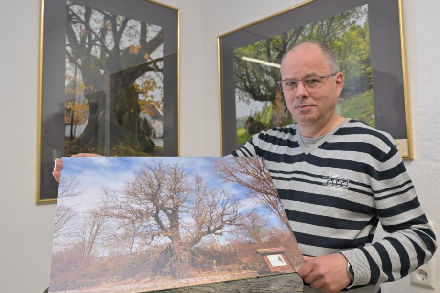 Was ein Fotograf Unglaubliches mit Bäumen erlebt – neue Ausstellung im Erzgebirge - Uwe Dathe stellt beim Heimatverein in Leukersdorf aus. Er nennt sich „Sachsens Baumfotograf“, hat Kurioses erlebt.