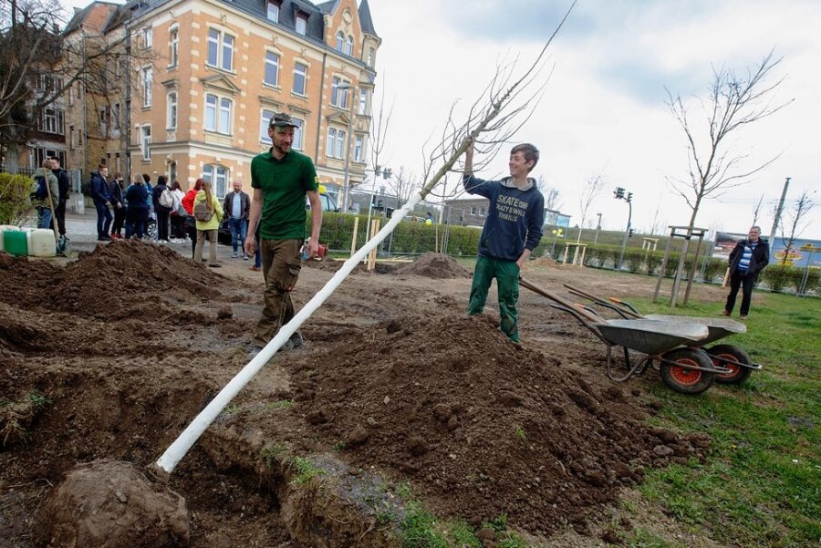 Ein neues Klimaprojekt ist an der Ecke Rückert-/Pausaer Straße gestartet. Dort wurden verschiedene Bäume gepflanzt, die mit den veränderten Klimabedingungen besser zurecht kommen sollen.