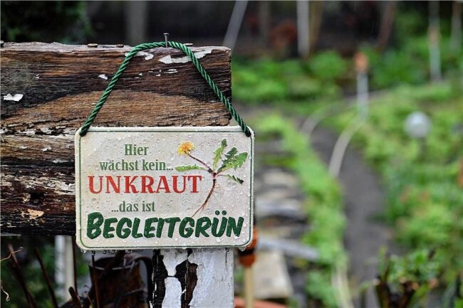 Was hilft gegen Unkraut? - Man kann es sich auch einfach machen - und der Natur einen Dienst erweisen. 