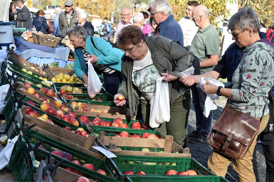 Was im oberen Vogtland zum Oktober-Finale los ist - Massenweise Äpfel und Kürbisse, Besucher in Scharen - die Kernobstmesse auf dem Riedelhof Eubabrunn lockt am Reformationstag.