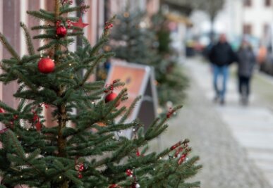 Was tun mit dem ausgedienten Baum? - Die Stadt Rochlitz hat zur Weihnachtszeit Gewerbetreibenden Bäume spendiert, die jene vor ihren Geschäften schmücken konnten. Diese Bäume entsorgt der Bauhof. Tanne und Fichte aus der privaten Stube hingegen werden kostenfrei von den Wertstoffhöfen angenommen. 