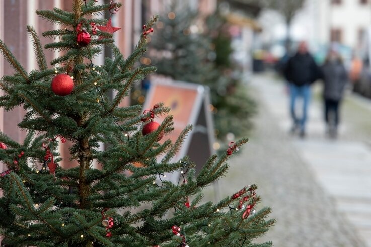 Was tun mit dem ausgedienten Baum? - Die Stadt Rochlitz hat zur Weihnachtszeit Gewerbetreibenden Bäume spendiert, die jene vor ihren Geschäften schmücken konnten. Diese Bäume entsorgt der Bauhof. Tanne und Fichte aus der privaten Stube hingegen werden kostenfrei von den Wertstoffhöfen angenommen. 