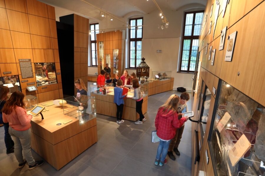 Wasserschaden im Museum beschäftigt weiterhin Juristen - Blick zurück: Bis Oktober 2019 war die Begleitausstellung zum Naturalienkabinett zu sehen. 