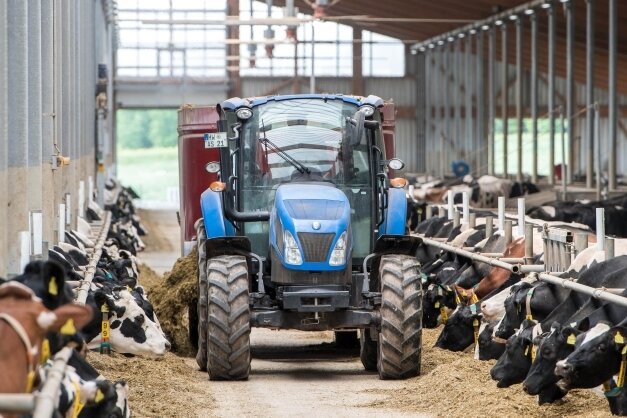Wasserstoffprojekt auf dem Prüfstand - Im Bereich der Milchviehanlage der Agraset in Erlau plant die Bürgerenergiegenossenschaft eine Anlage zur Wasserstoffproduktion.
