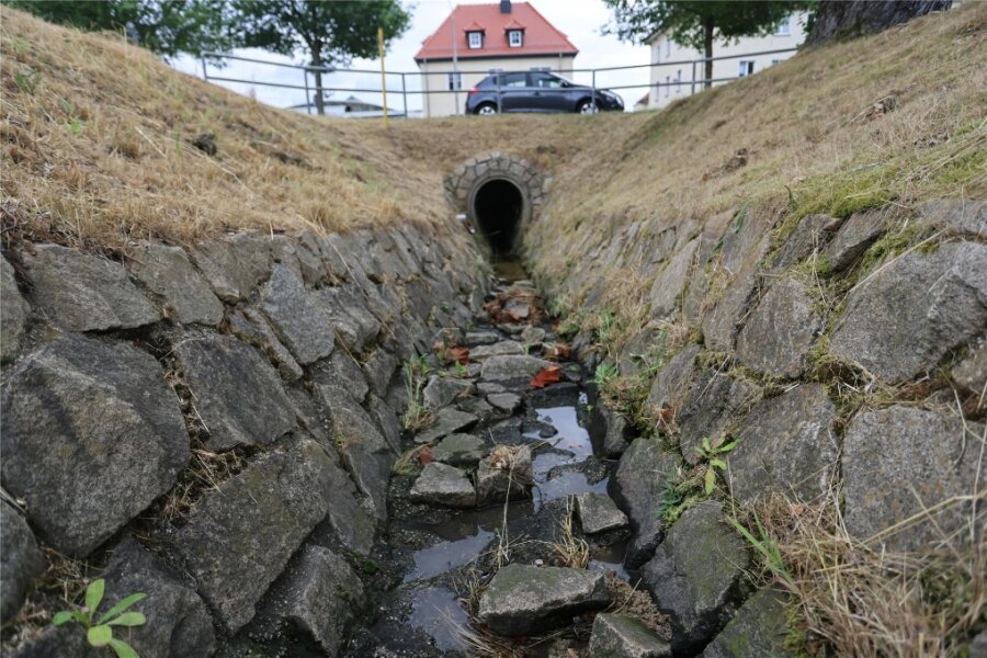 Wegen anhaltender Trockenheit: Landkreis Zwickau verbietet Wasserentnahme - Der Bach am Parkplatz des Hauptfriedhofs Zwickau ist momentan nur noch ein Rinnsal.