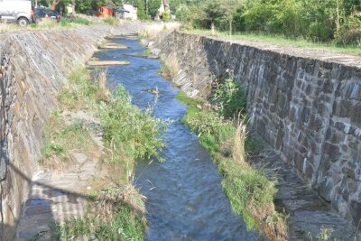 Wegen Trockenheit: Landkreis Mittelsachsen verbietet Abpumpen von Wasser - Der Münzbach in Freiberg führt wie viele andere Gewässer in Mittelsachsen nach Hitze und Trockenheit derzeit wenig Wasser.