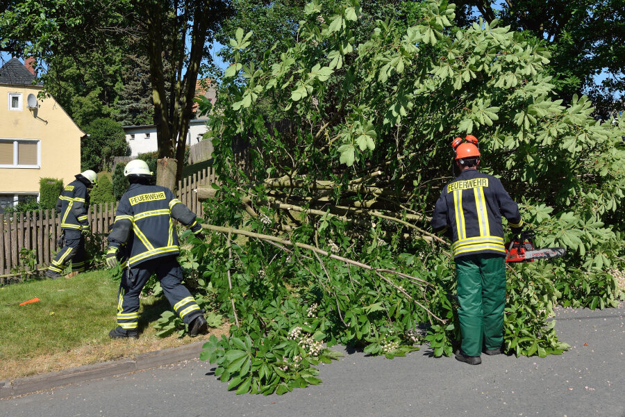 Wehr fällt angesägten Baum - Die Feuerwehr war mit zwei Fahrzeugen und zehn Einsatzkräften vor Ort.