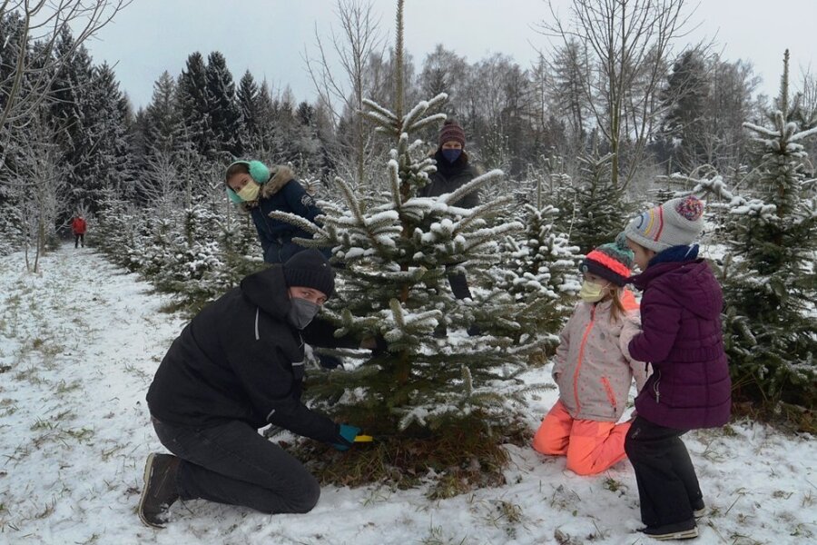 Familie Wagner aus Neumark mit Vater Enrico, Johanna, Mutter Maria, Charlotte und Luise (von links) suchte sich am Samstag im Wald einen Weihnachtsbau aus. Die Wahl fiel auf eine Nordmanntanne. 